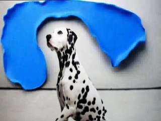 On craque pour Sliimy