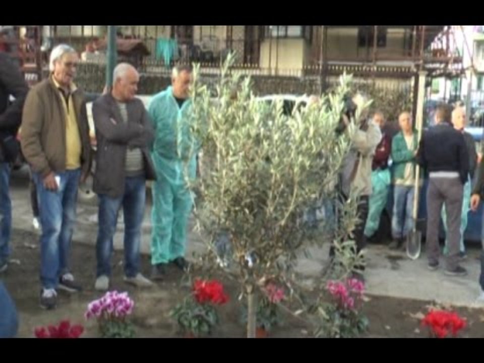 Napoli - Davide Bifolco, aiuola al Rione Traiano -3- (18.11.14)