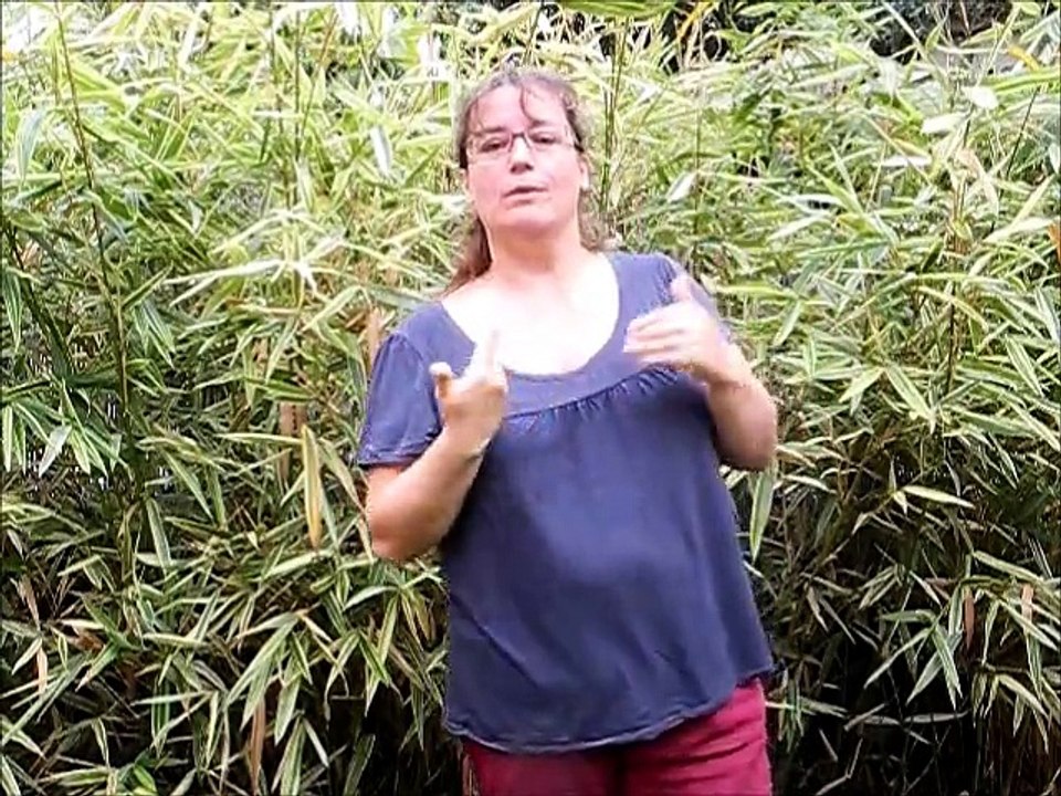 comité de suivi projet Entrepreneuriat des Sourds