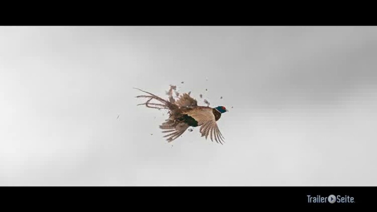 Schändung trailer (deutsch)