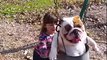 Ozzy the Bulldog Enjoys Being Pushed on the Swing