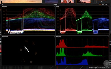L25 Exploring the Video Scopes 720