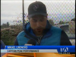 Arthur, el perro que inicia una nueva vida en Suecia