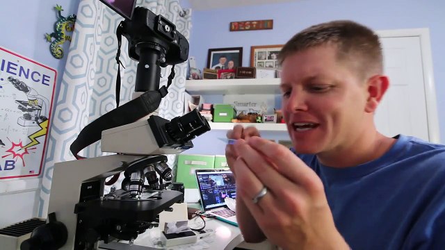 Doí muito remover tatuagens?