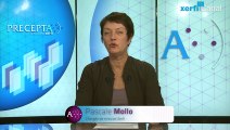 Pascale Mollo, Xerfi Canal Synthesio: surveiller sa réputation sur Internet et les réseaux sociaux