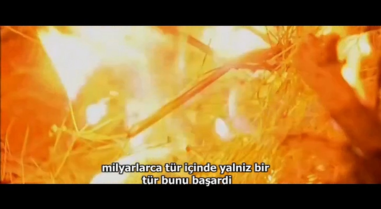 BİR UMUDU SEVMEK