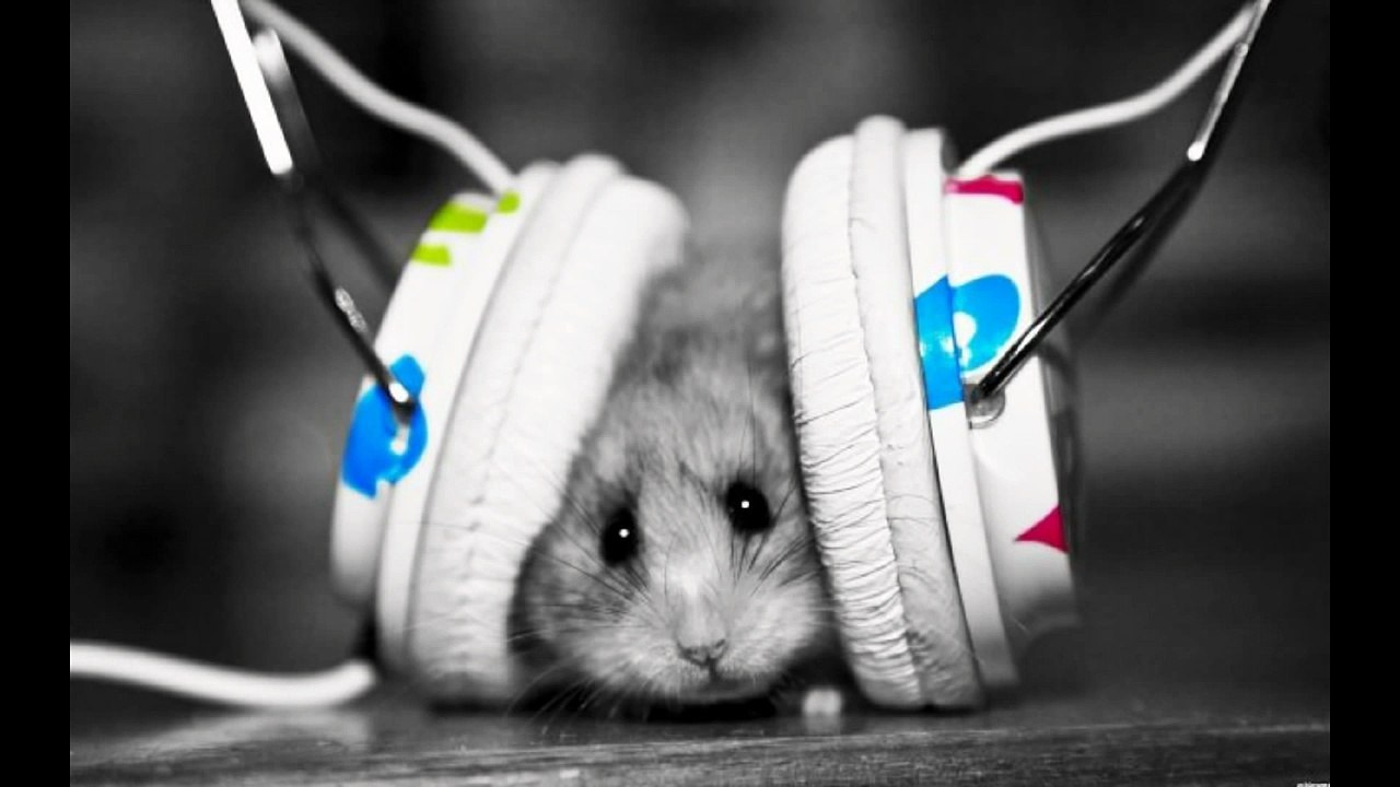 Nice Electro_Dubstep music ! MrNicoLacro