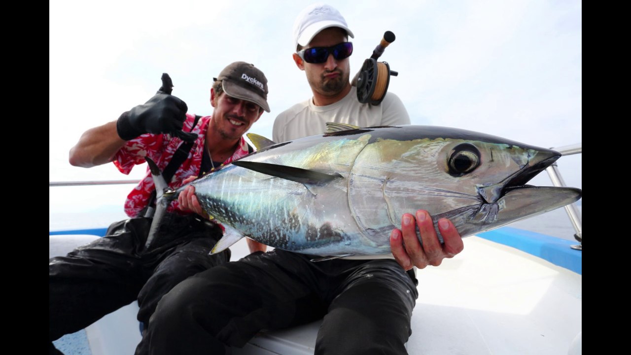 Blue finTuna on the fly _ JD & Fabien F