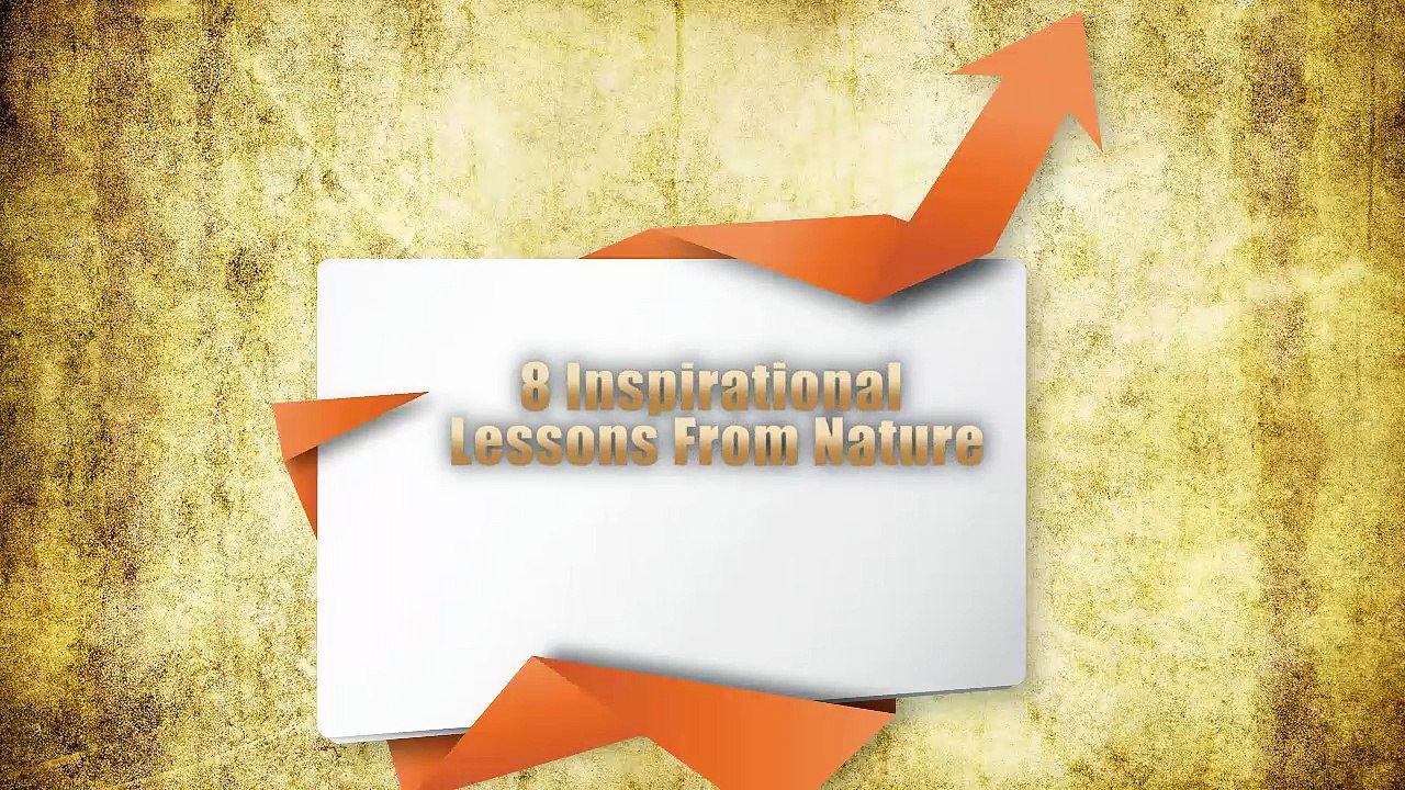 8 Inspirational Lessons From Nature