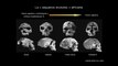 Homo sapiens, Néandertal et compagnie (Cycle L'évolution de l'Homme 3/3)