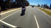 Un kangourou saute par dessus un motard !