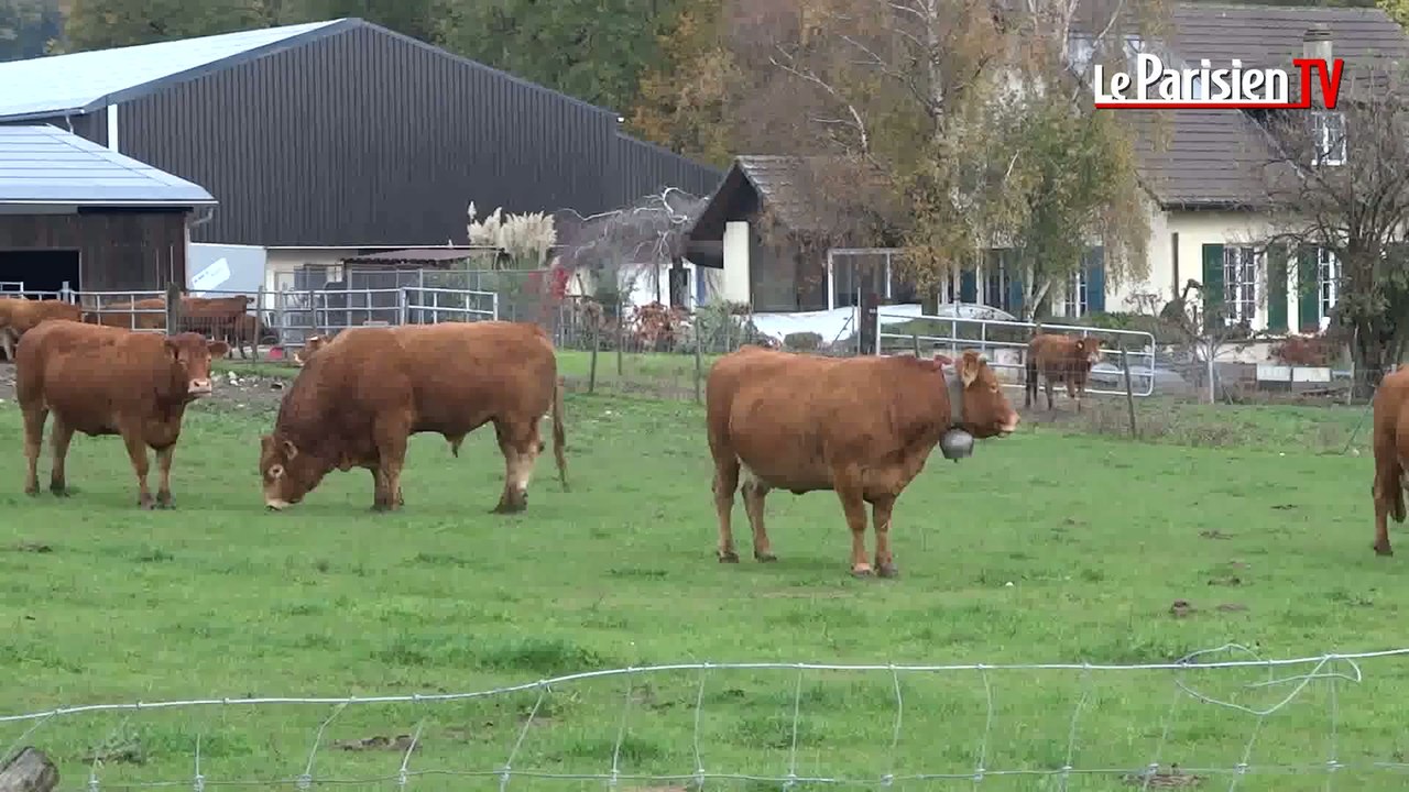 Sur les traces de Gaël Monfils en Suisse