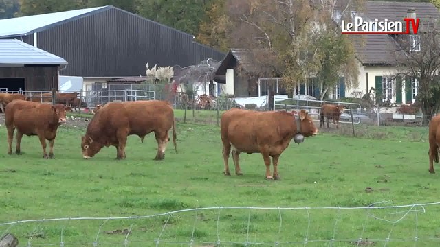 Sur les traces de Gaël Monfils en Suisse