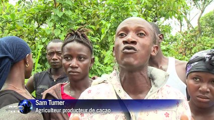 Ebola: récolte de cacao au goût amer en Sierra Leone