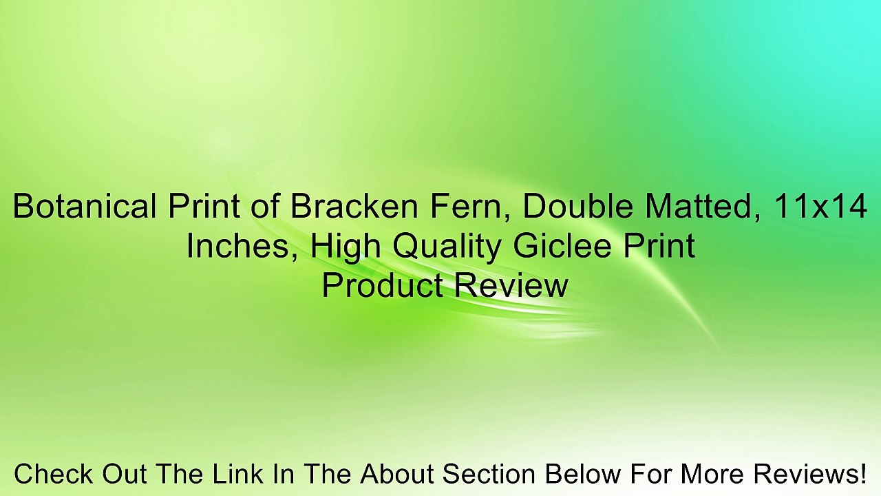 Botanical Print of Bracken Fern, Double Matted, 11x14 Inches, High Quality Giclee Print