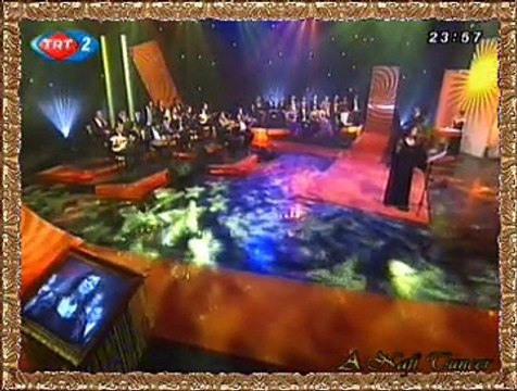 Berrin ŞENER ERSOY *Yine Bu Yıl “Ada” Sensiz İçime Hiç Sinmedi*