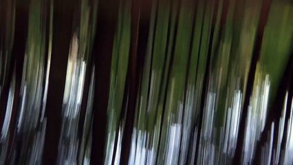 V/H/S ( 2012 - bande annonce VO )