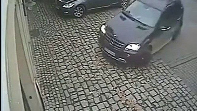 Tronc d'arbre en fuite