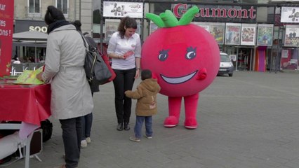 Tomates et Concombres, tournée pédagogique 2014