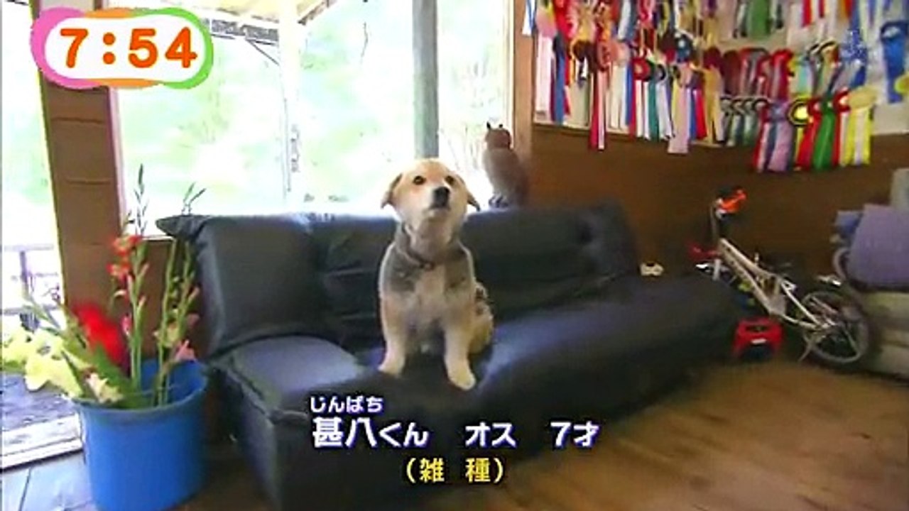 140722_8meza火