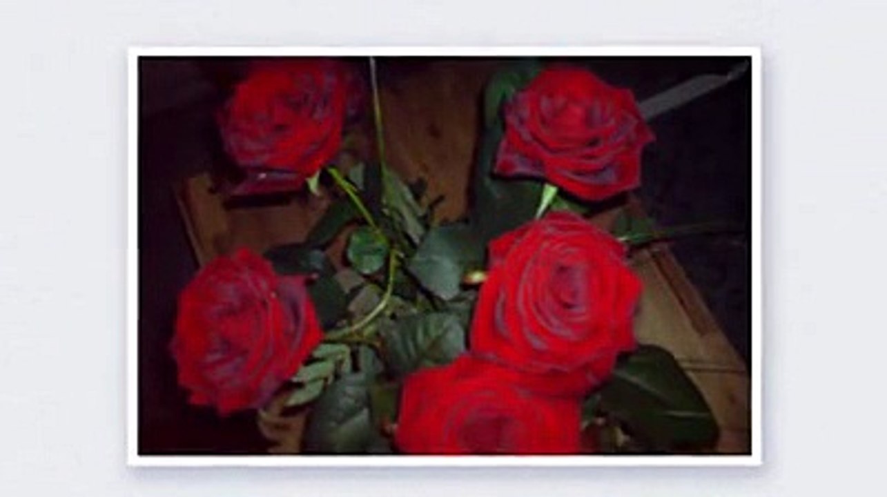 Video für uns - Made by my Herzl