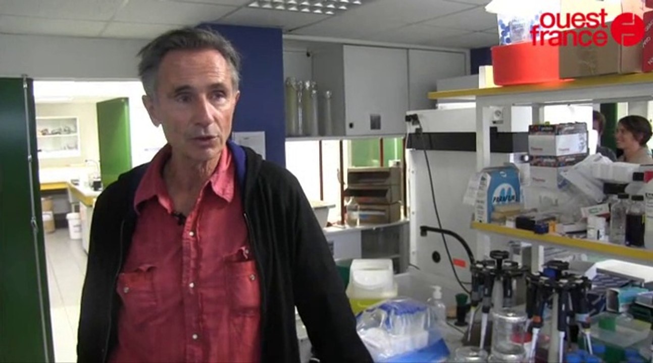Thierry Lhermitte visite l'Irset de Rennes en t...