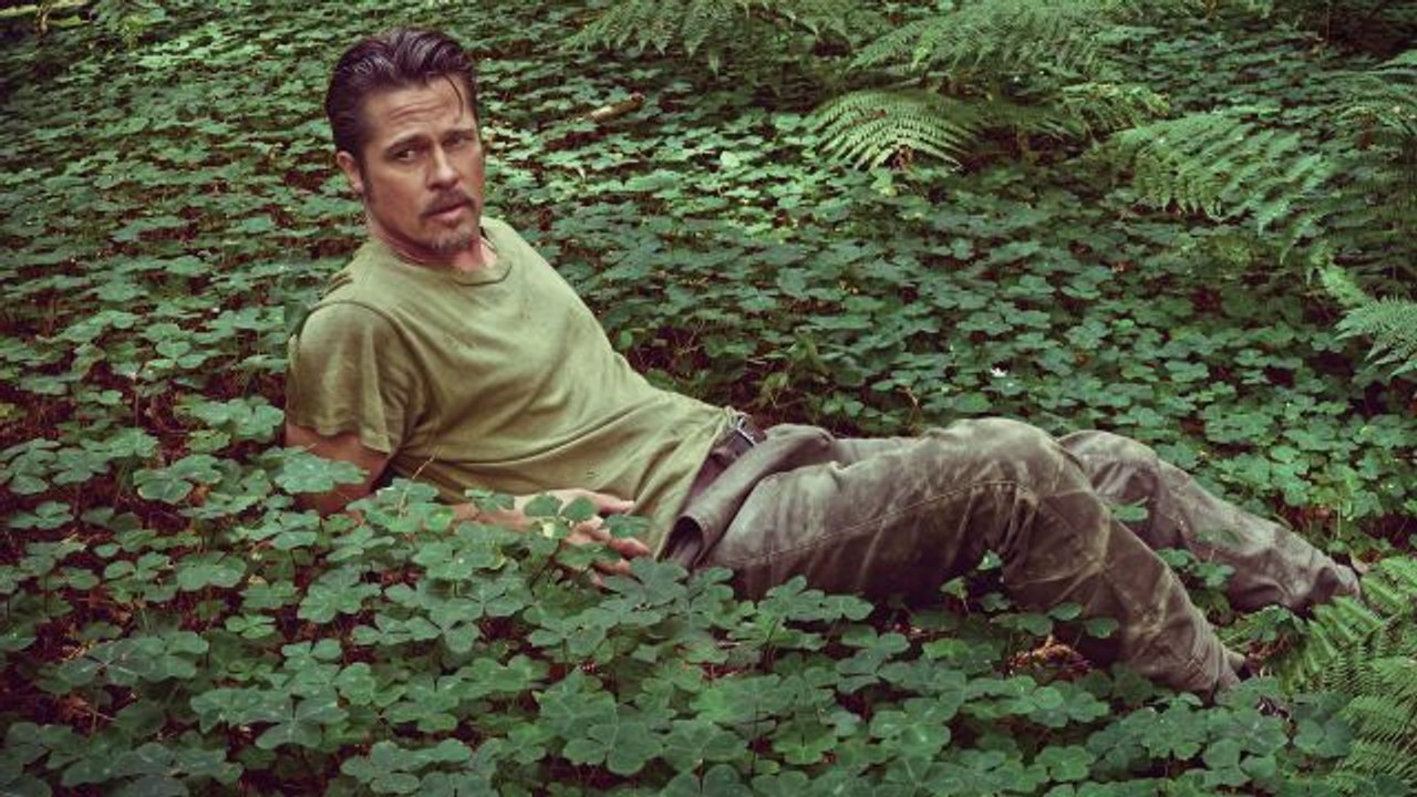 Details Celebrities - Brad Pitt: Details November Cover Star
