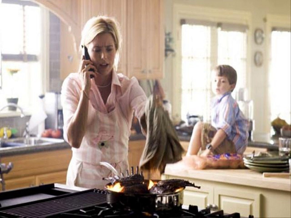 Fun with Dick and Jane Full Movie HD