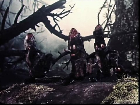 Сказка о старом кедре