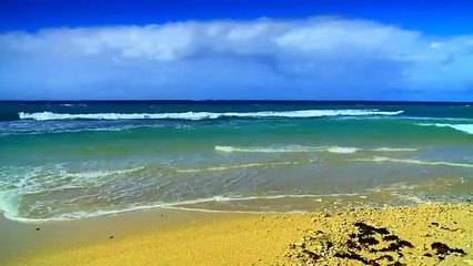 Amazing Nature Scenery  Nature HD