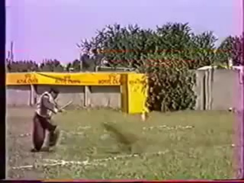 KeeBee des Deux Pottois  E X O C E T !!!!