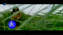 Ceylan  Lanet olsun (nostalji, muhabbet tv) by feridi