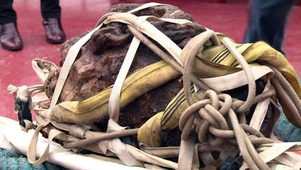 Paris: une sculpture du Pont-Neuf découverte dans la Seine