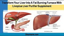 Transform Your Liver Into A Fat Burning Furnace With Livoplus Liver Purifier Supplement