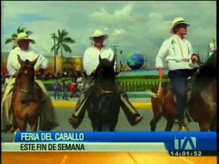 Esta semana se realizará Feria del Caballo