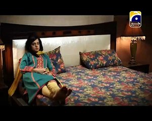 Rasam Episode 14 Full 20th November 2014 By Geo Tv