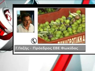 Συνεργασία ΕΒΕ Φθιώτιδας και Φωκίδας