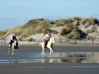 Galop sur la plage