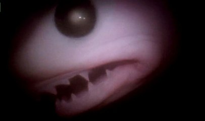 Dişleriyle Doğan Yavru Köpekbalığı