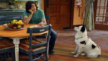 Dog with a Blog Season 3 Episode 4 - Stan Falls In Love - HD LINKS Full Episode