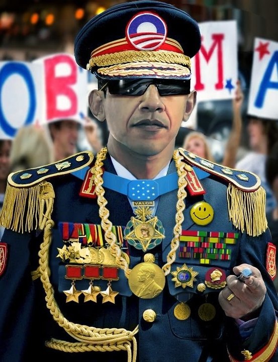 OBAMA'S EXECUTIVE ORDER AMNESTY FOR ILLEGAL IMMIGRANTS IS BEING DONE TO COLLAPSE AMERICA.