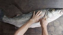 Celebrity Chefs - Breaking Down a Striped Bass at Beach Plum Restaurant