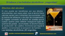 Sistema Venus: Efectos del Tabaco y Alcohol en Nuestro Cuerpo