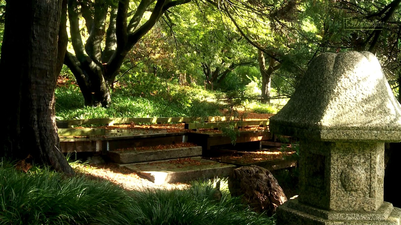 Zen and the Art of Relaxation - Trailer (from 1 Hour Video)