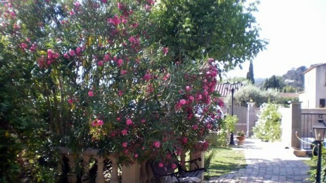 A vendre - Maison/villa - St Etienne Du Gres (13103) - 5 pièces - 141m²