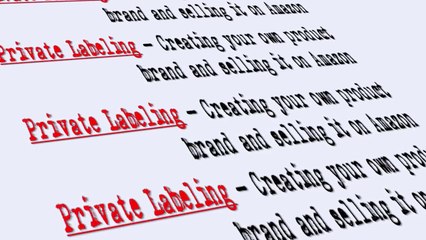 M1 - 05The Most Lucrative Amazon Business Model