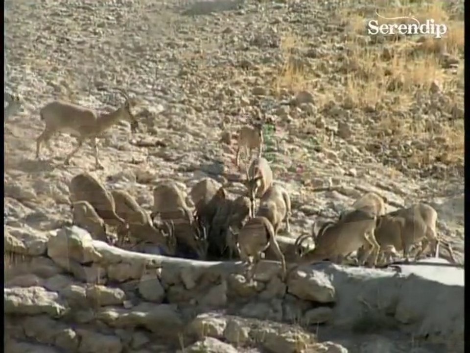 Keeping the promise for Khirthar