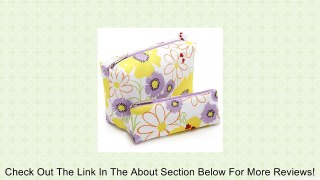 Clinique Spring 2013 Ladybug Cosmetic Bag Review