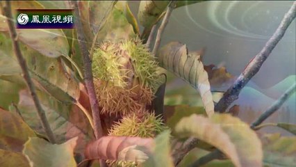 20141120 与梦想同行：穿越“三北”一路向东之河北易县（上）