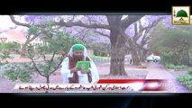 Package 03 - Pretoria South Africa Rukn-e-Shura Kay Madani Phool